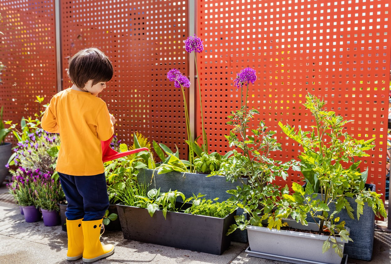 child watering plants in the garden