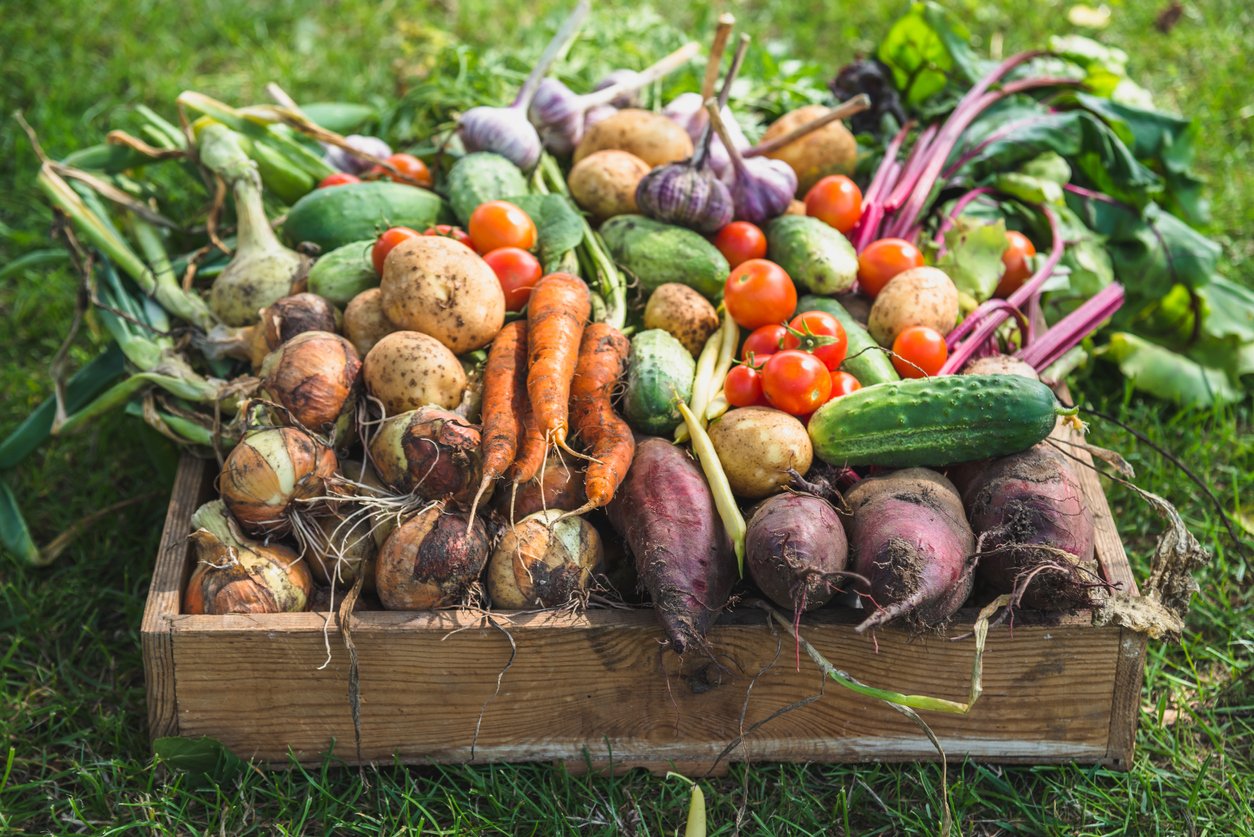 home grown vegetables