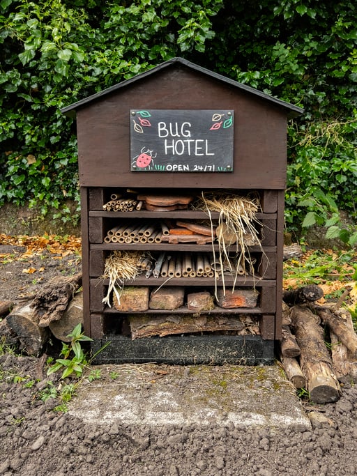 bug hotel