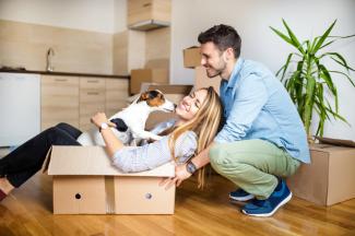 Moving home with pets: Ensuring a smooth transition