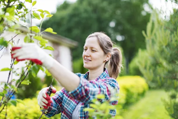 How to maintain your garden this spring
