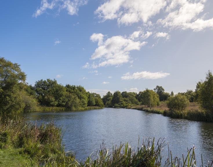 Chasewater